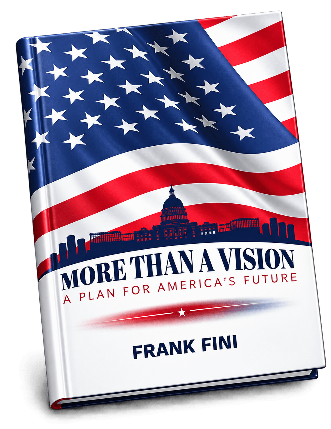 More Than A Vision Book Cover